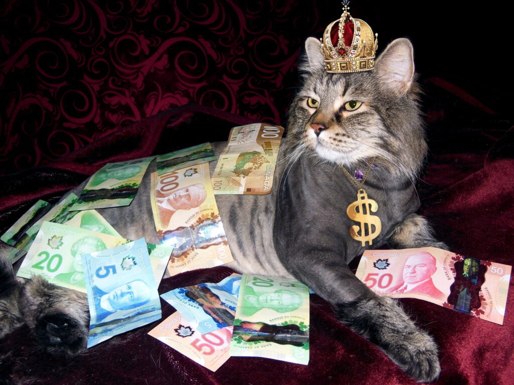 cat wearing a crown, covered in money